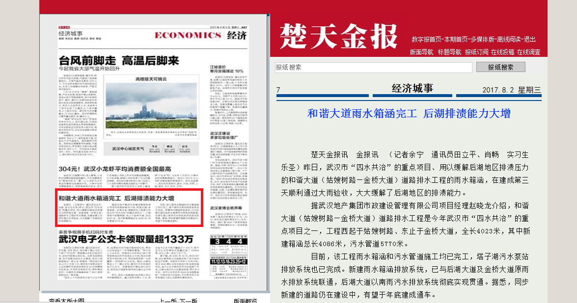 楚天金報.jpg